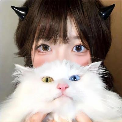 旭日逃亡